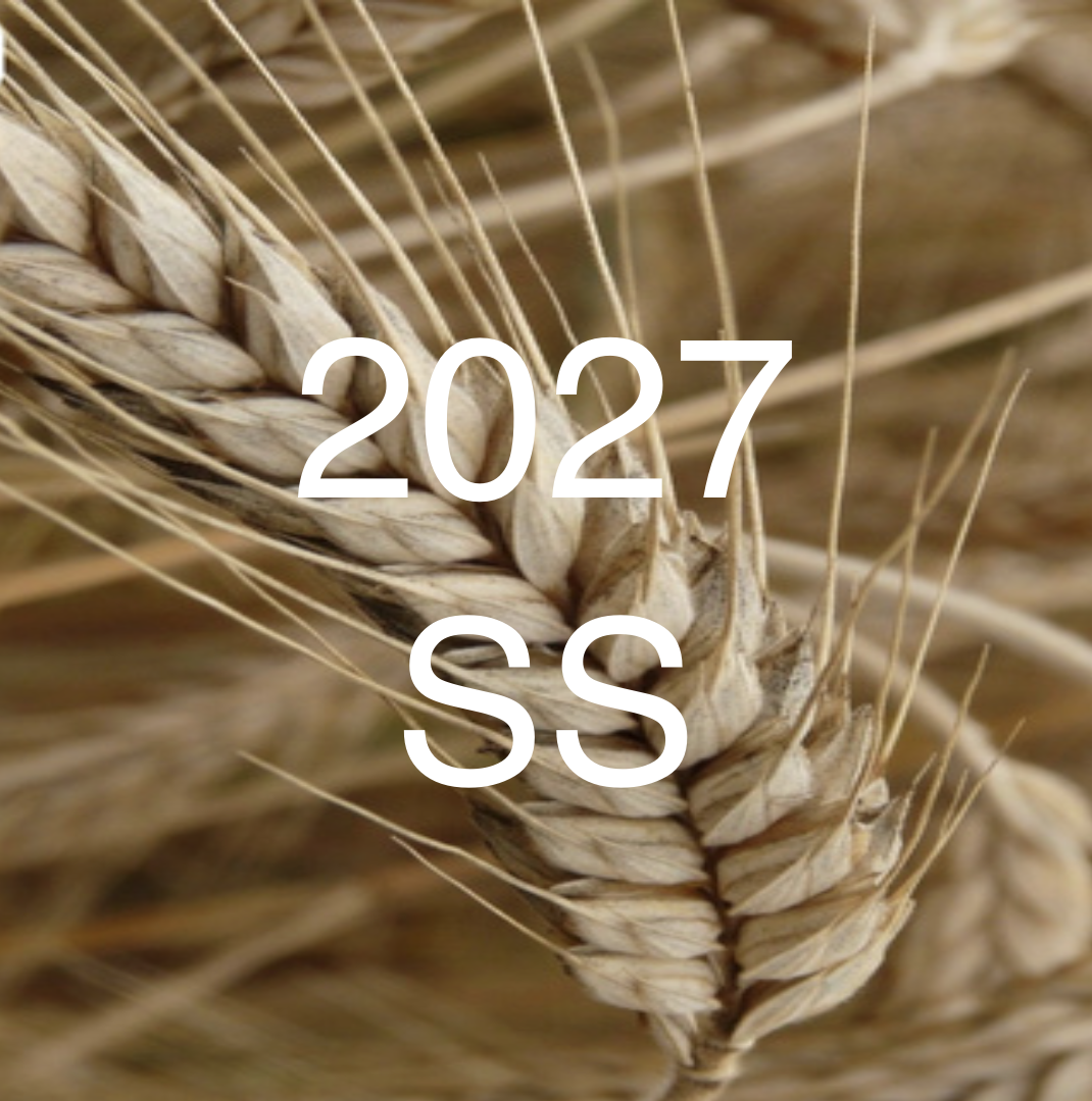 2027 SS 麦穗 material world
